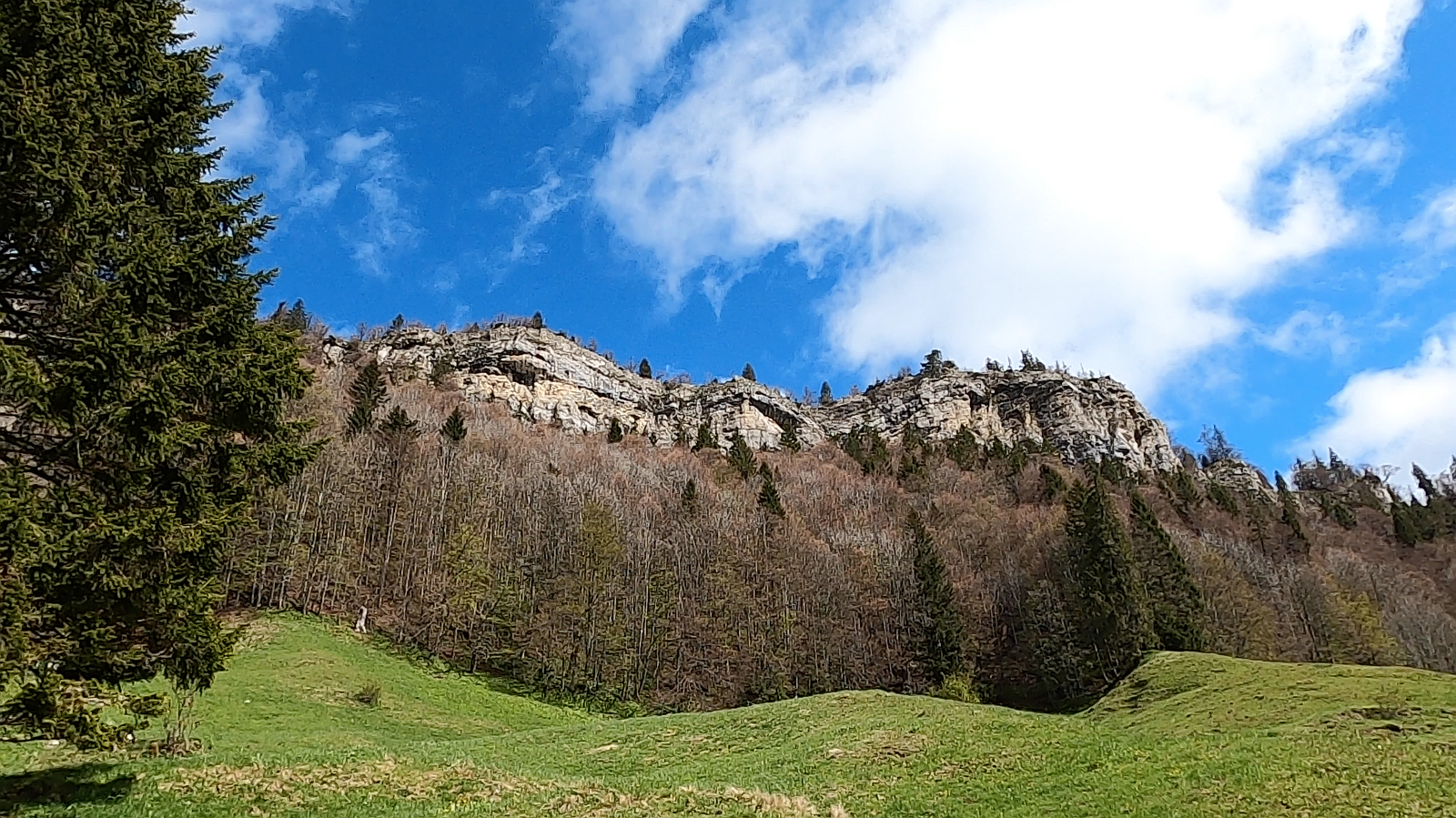 22_22. Mai 21_G Wanderung Grenchenberg (116).png